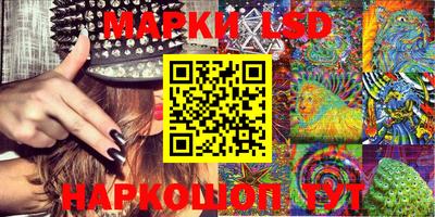 прущие грибы Будённовск