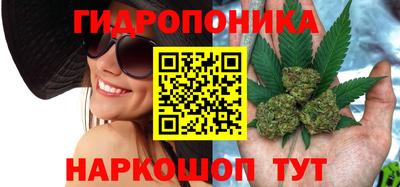 прущие грибы Будённовск