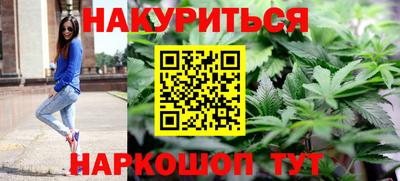 прущие грибы Будённовск