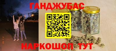 прущие грибы Будённовск